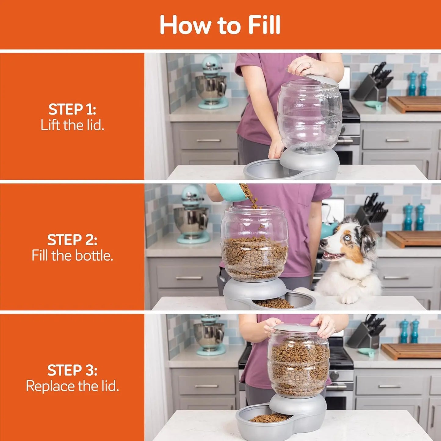 Automatic Pet Feeder for Cats and Dogs, 10 LB Capacity, Gravity Dispenser, Pearl Blue