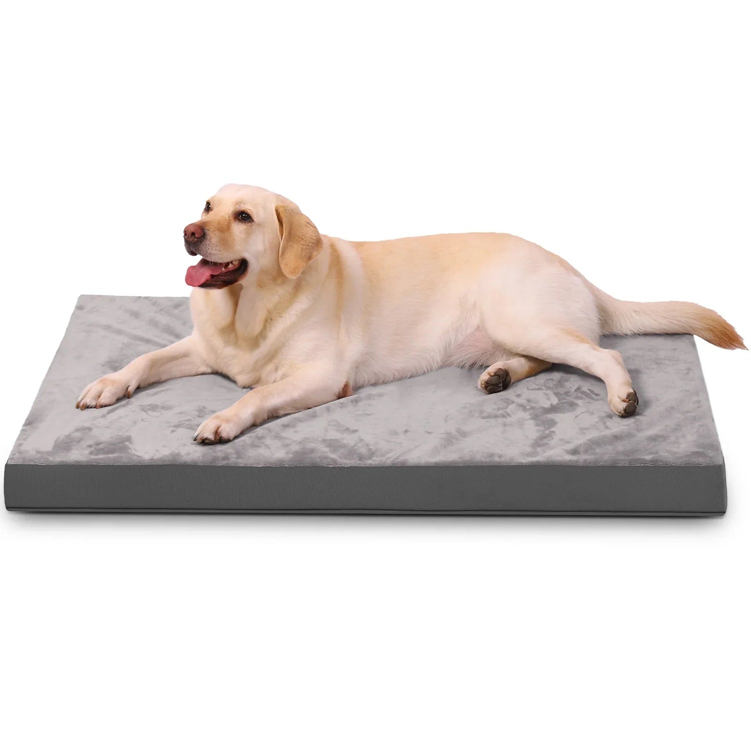 Dog Bedding