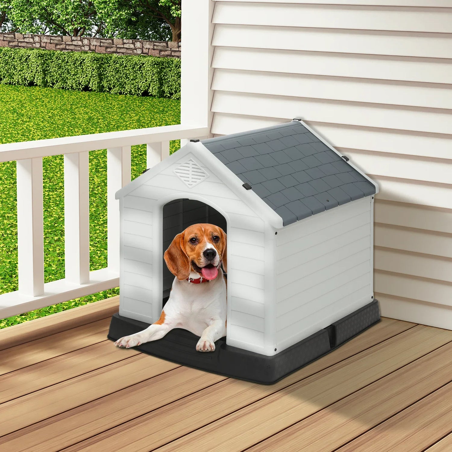 Dog Homes