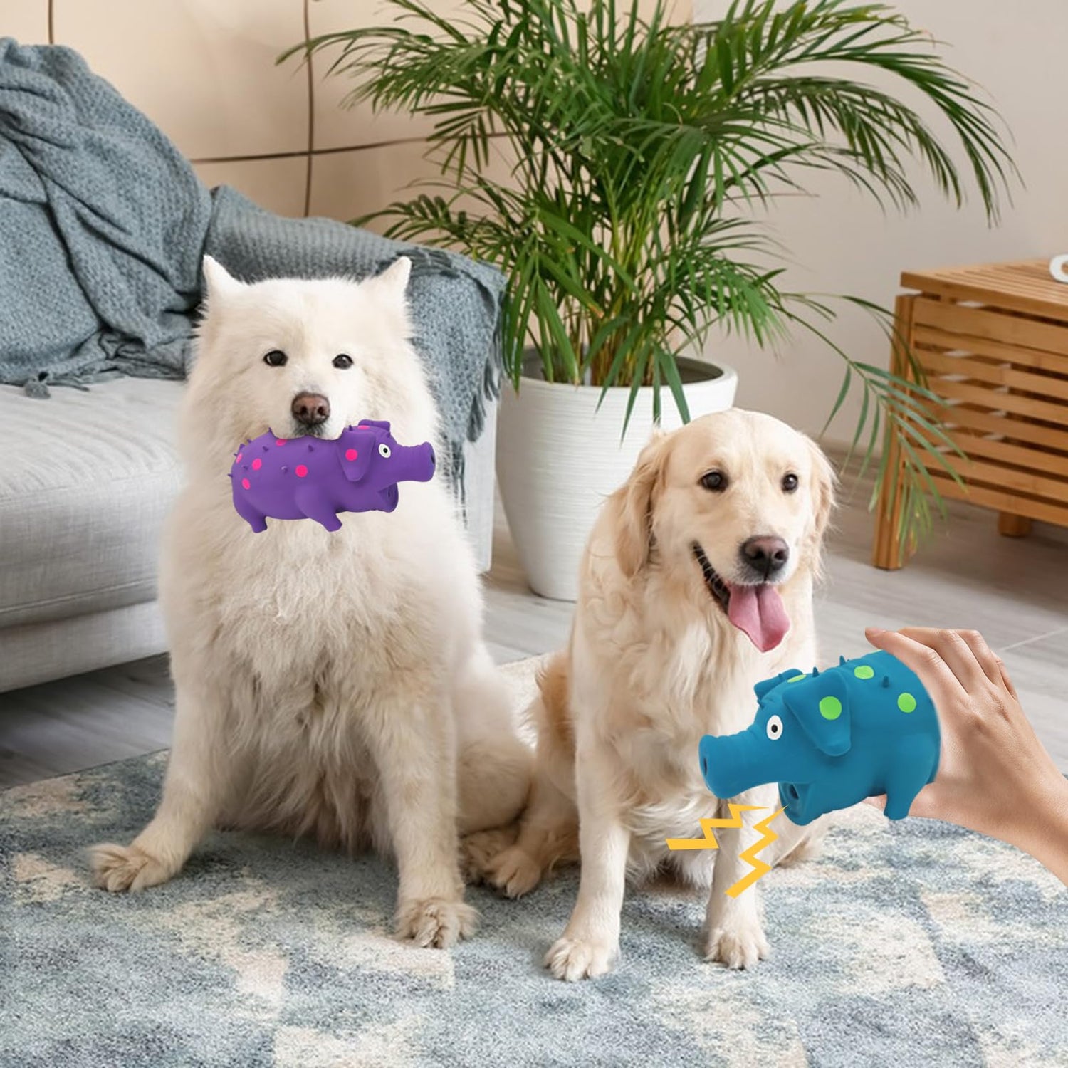 Squeaky Toys