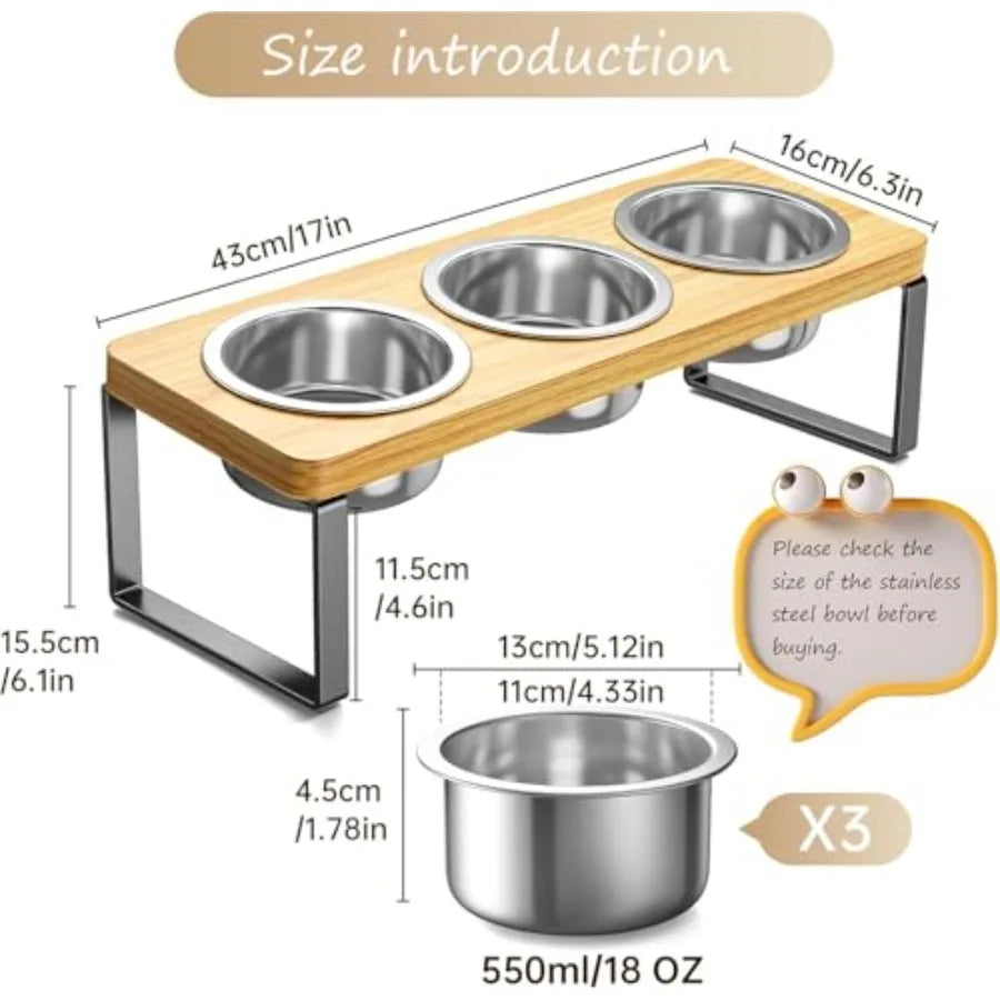 2 Pack Elevated Cat Bowls with 3 Stainless Steel Bowls 10° Tilted Anti-Vomiting Raised Cat Food Bowl for Small Cats and Puppies